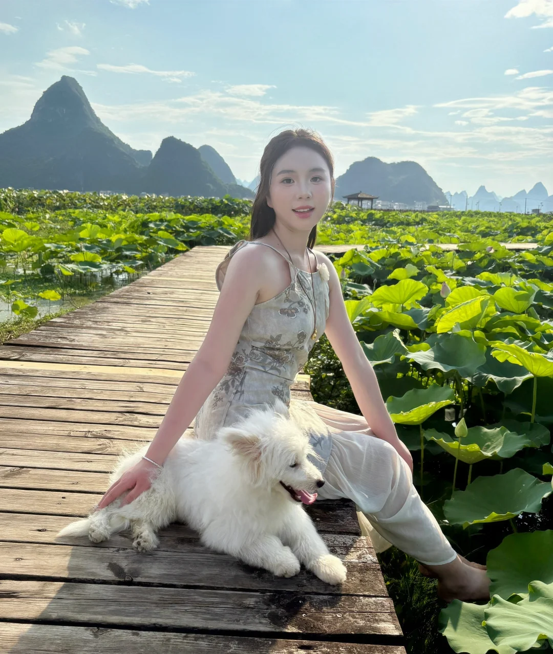 在柳州❗️带我的狗狗去百朋看荷花🪷