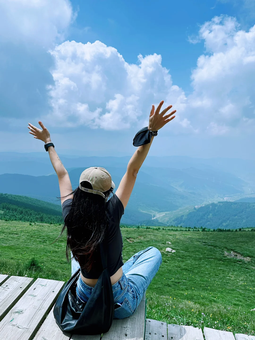 荷叶坪 森林的海