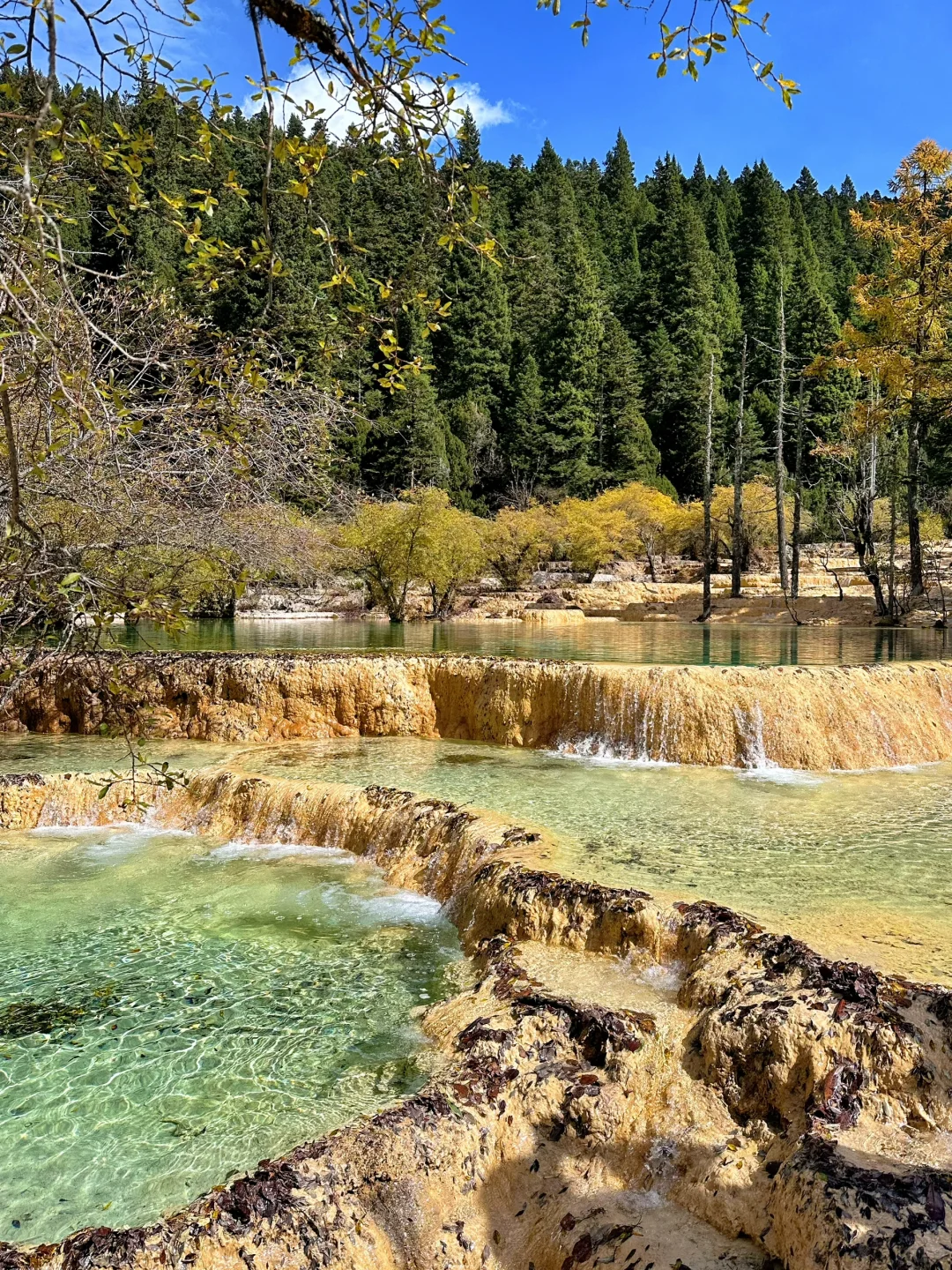 黄龙景区一日游攻略