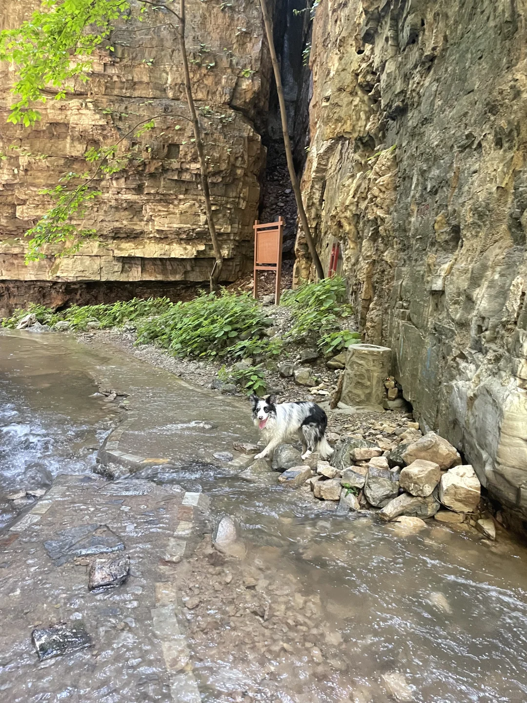 夏日避暑宝藏地|赶快躲进这天然氧吧🍃