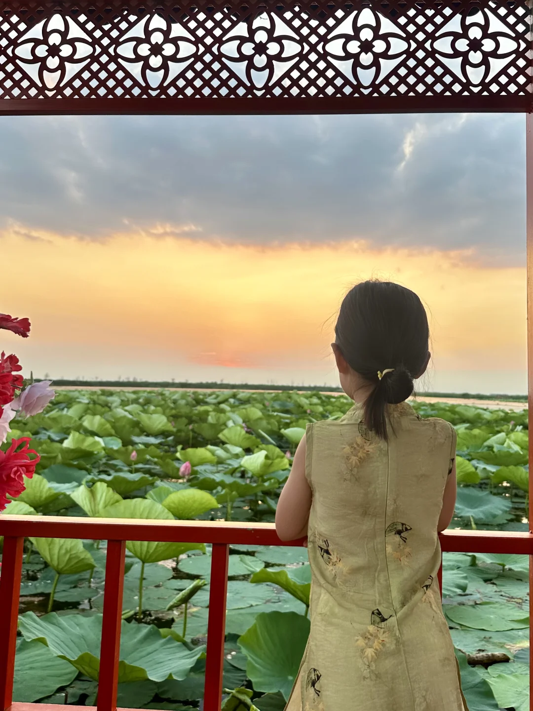 真的不敢相信！在白洋淀遇到了坠美日落🌅