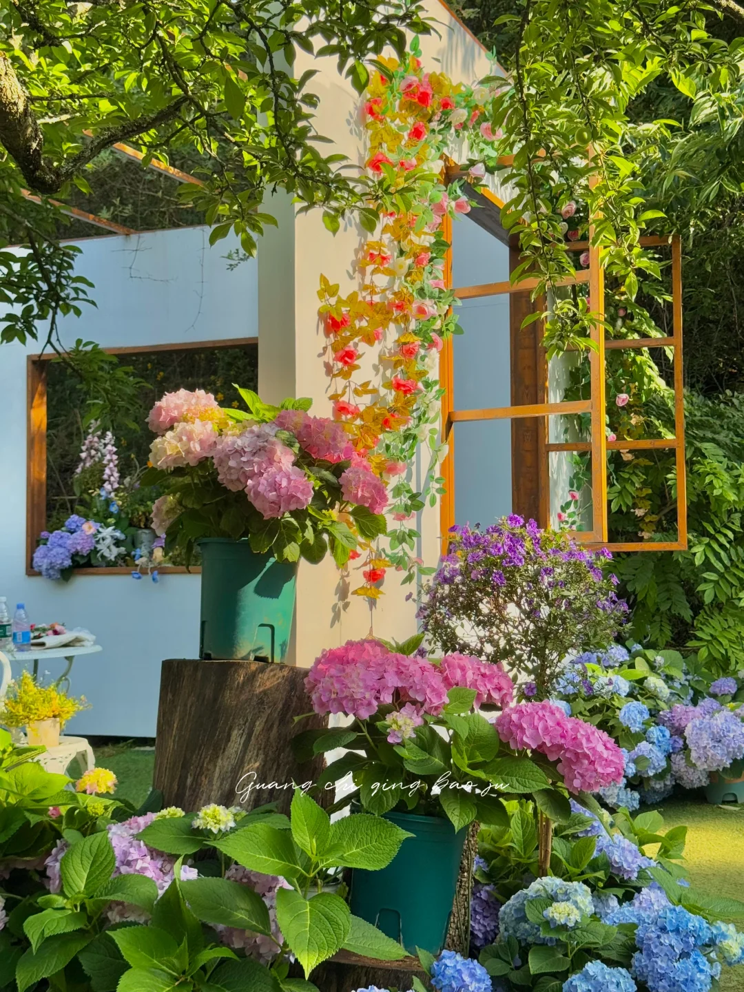 昆明花海🪻这片爱丽丝仙境太美啦！