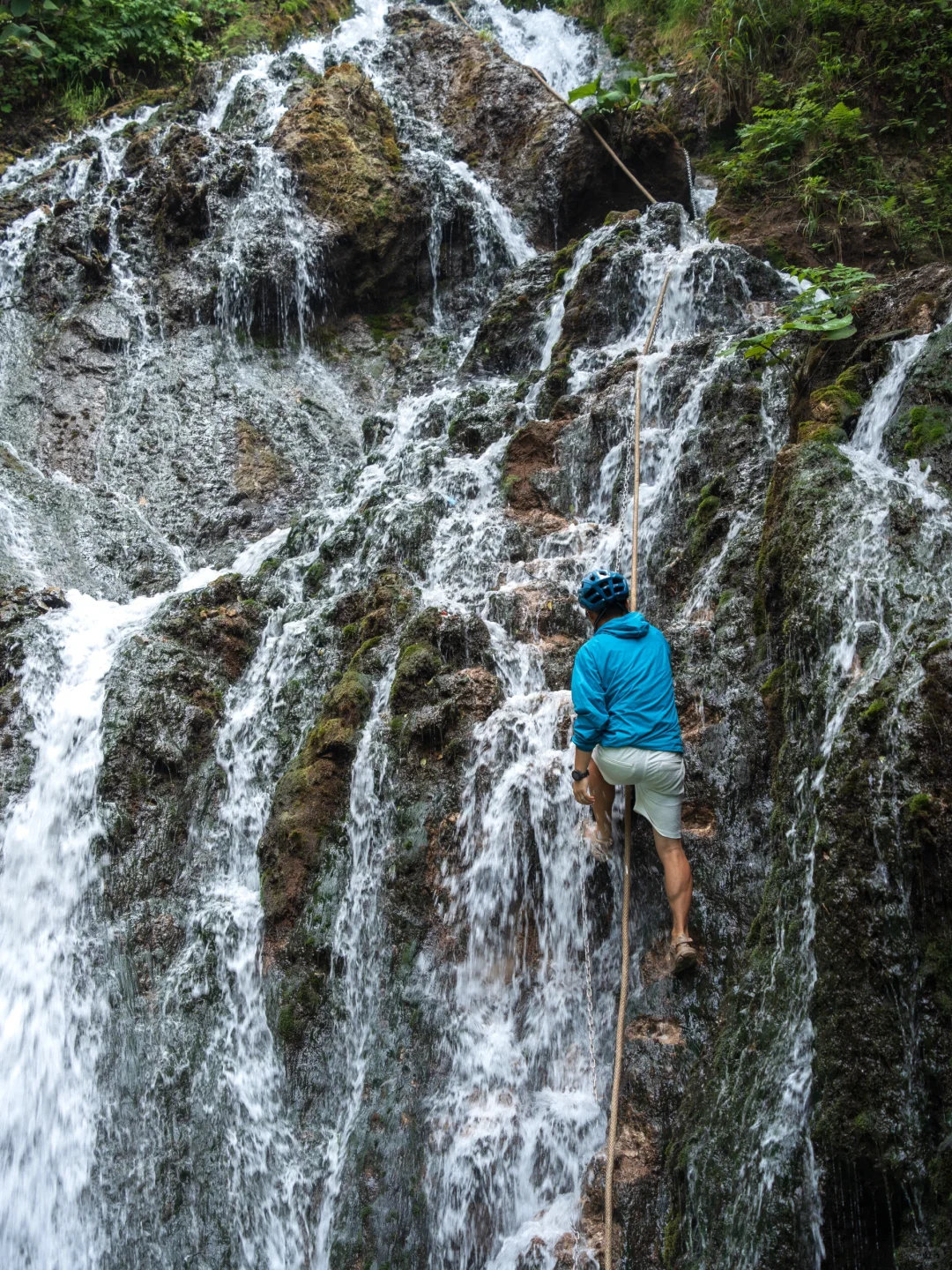 真的有被洛阳浪漫到❤️