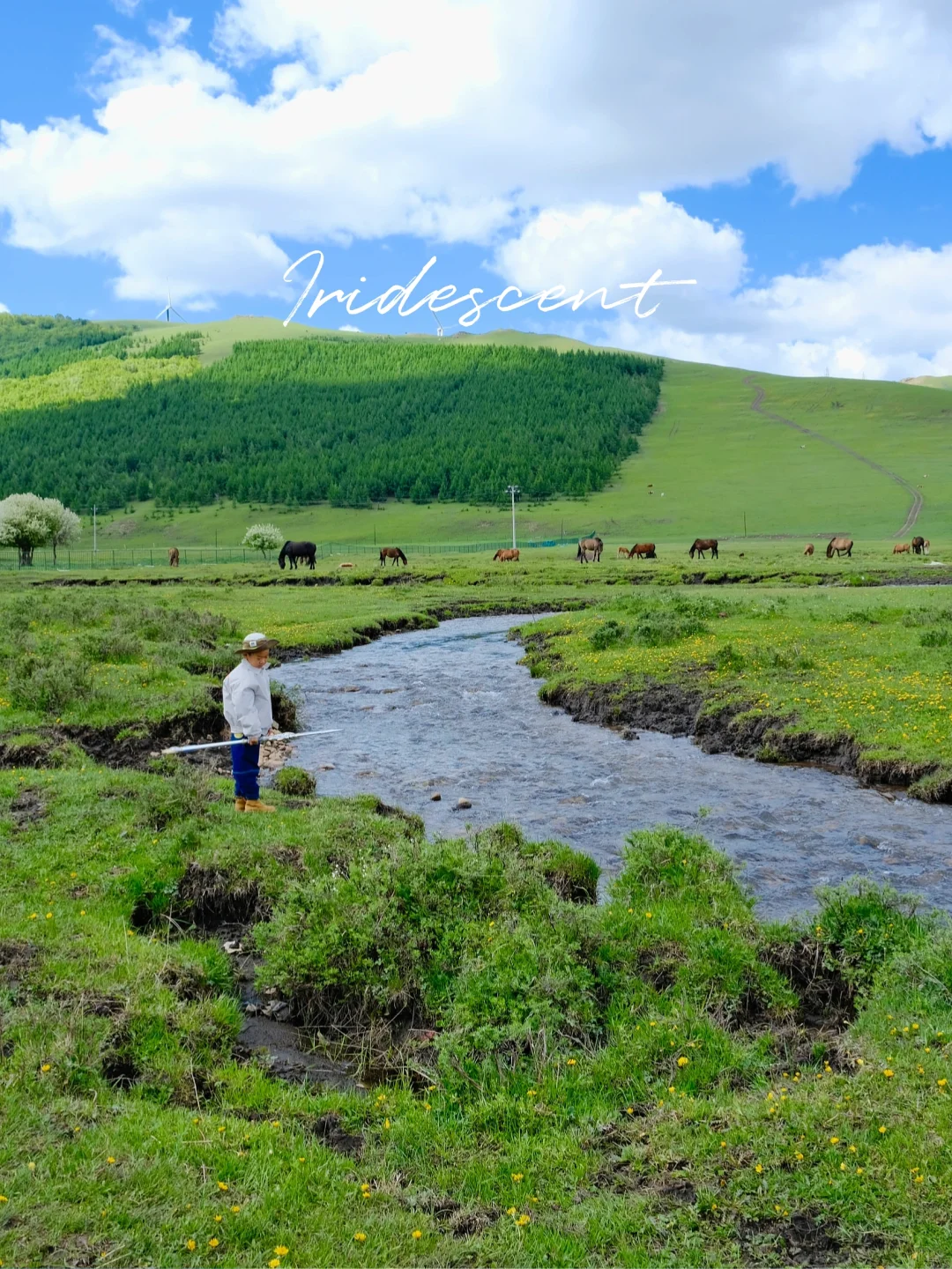 坝上草原 原来蕞美的风景居然都免费🆓
