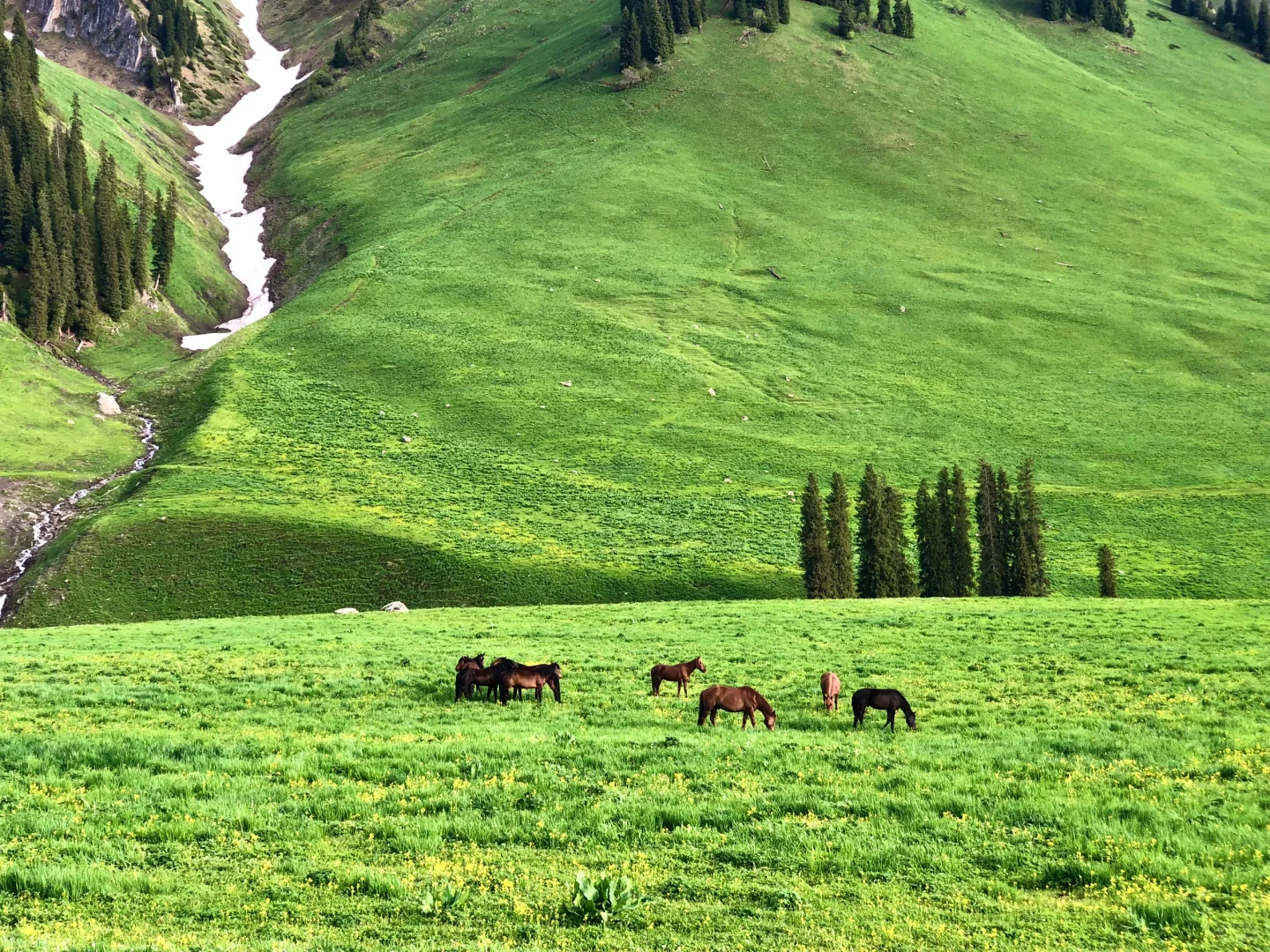 都是些什么人在避雷孟克特古道啊