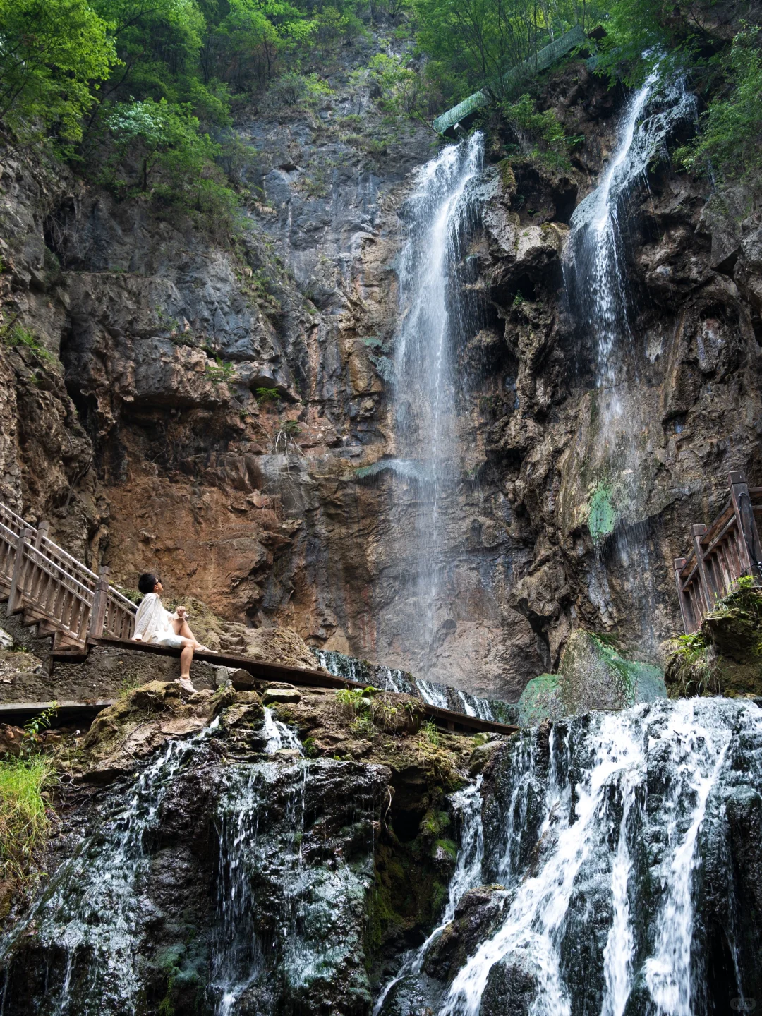 真的有被洛阳浪漫到❤️