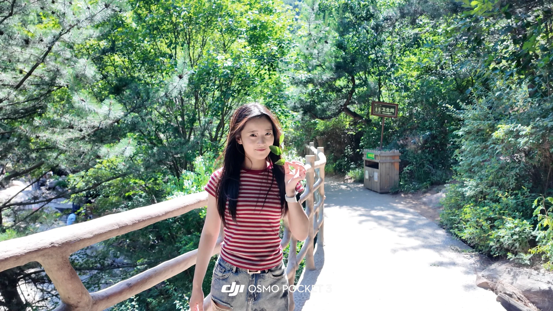 太行山里的童话世界 | 漫山花溪谷🌳