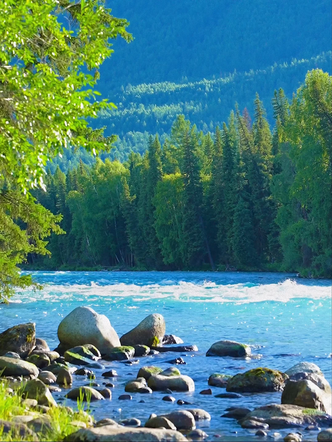 7月的新疆，一定会刷新你对夏天的想象！