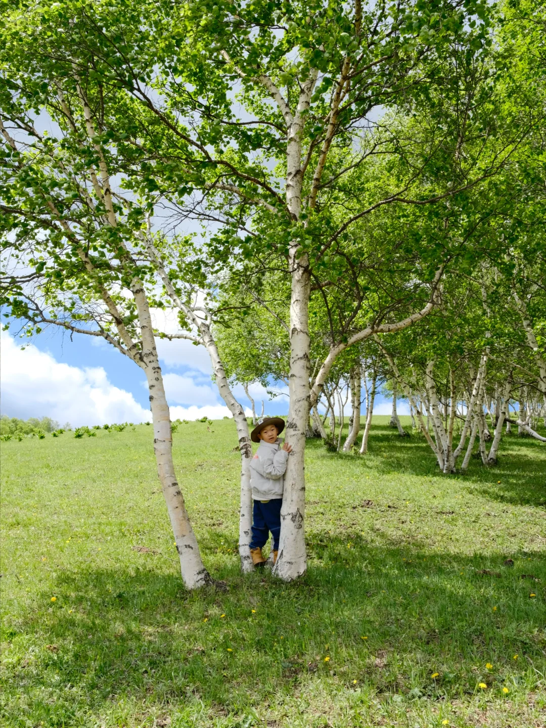 坝上草原 原来蕞美的风景居然都免费🆓