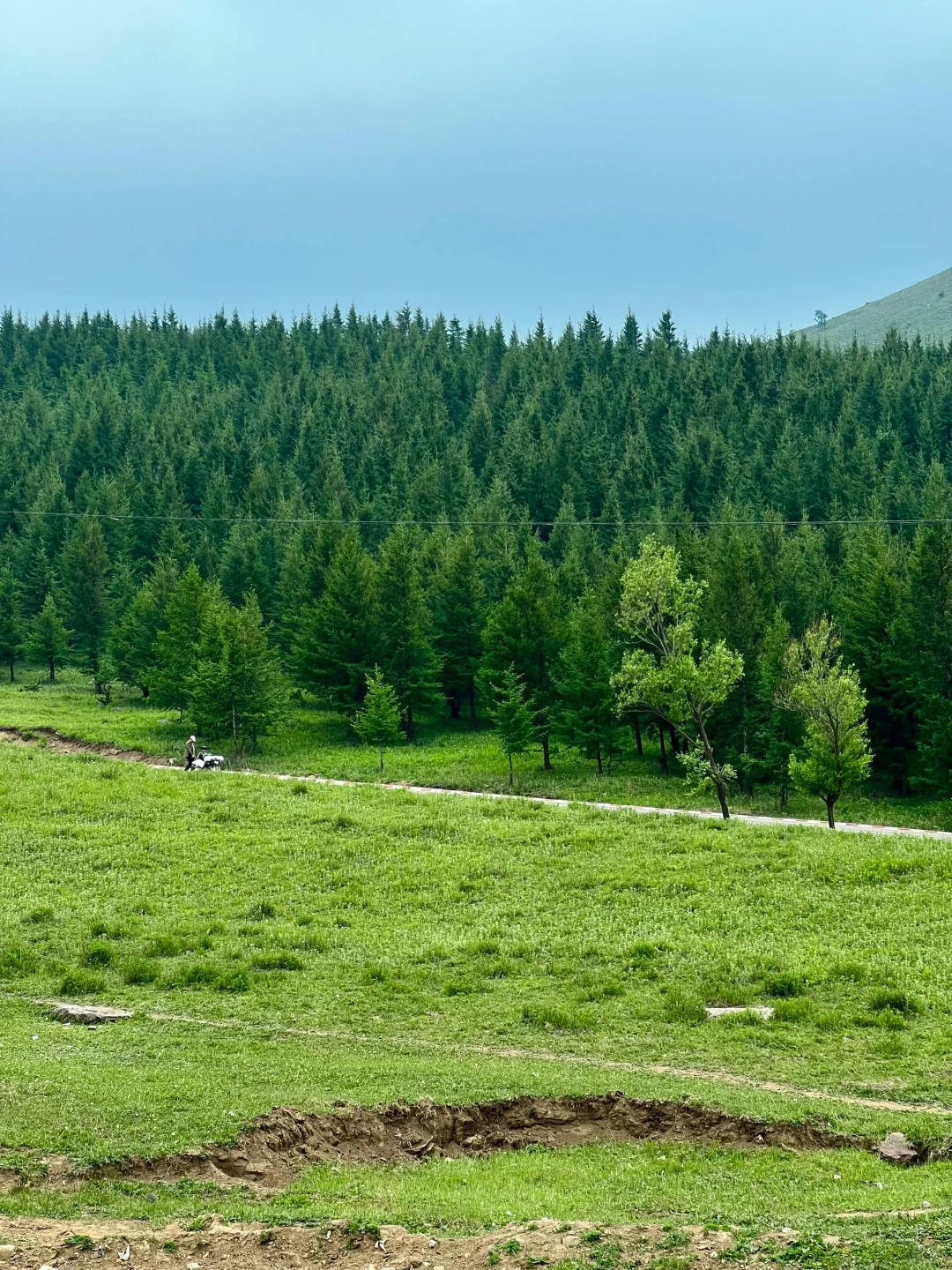 河北有自己的阿勒泰！走马槽草原一日游🌿