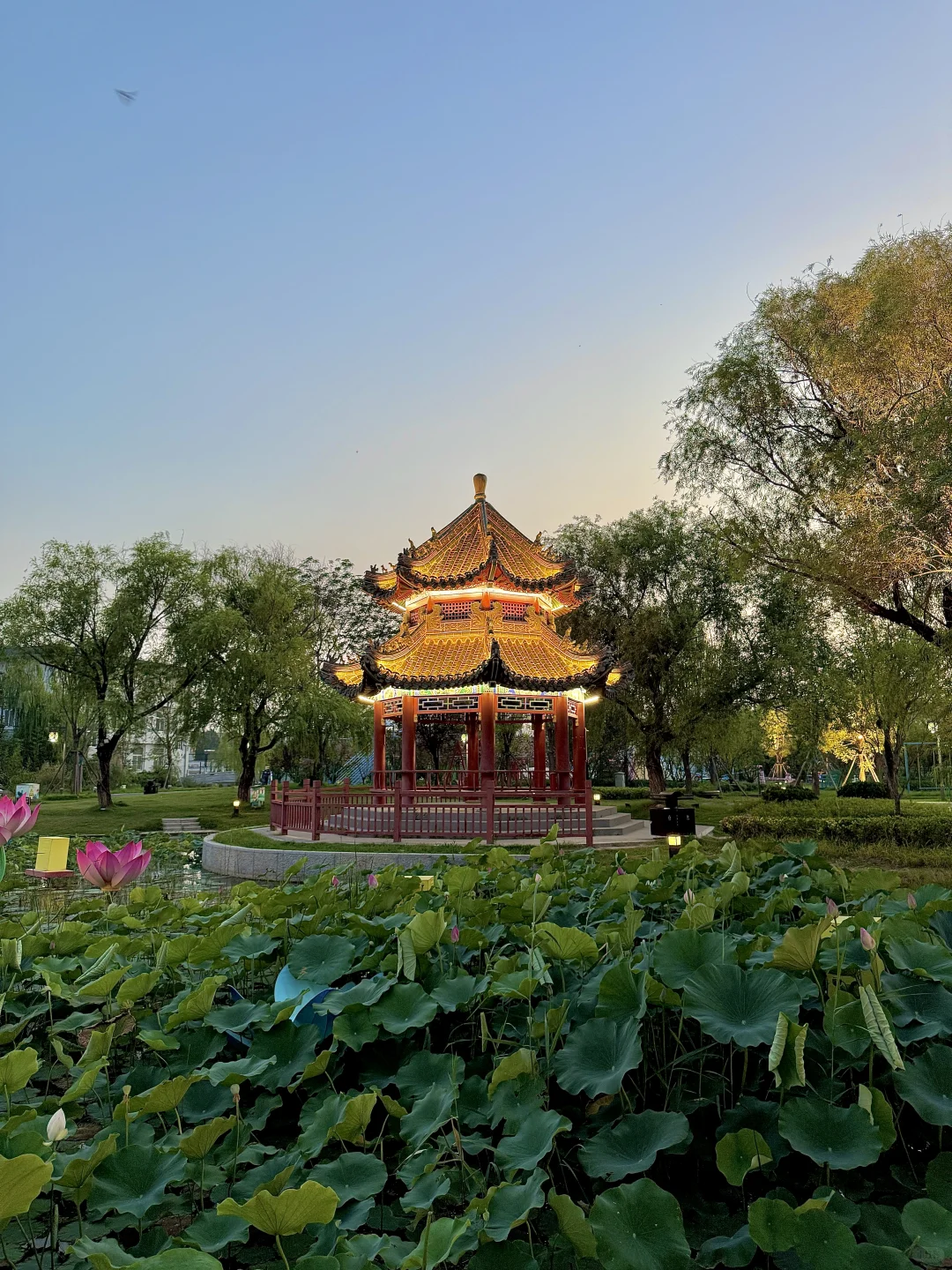 暑假一定要打卡的景区📍开封铁塔景区攻略