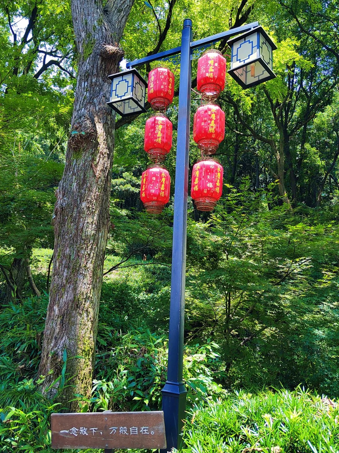 杭州灵隐寺|禅意千年,心归处