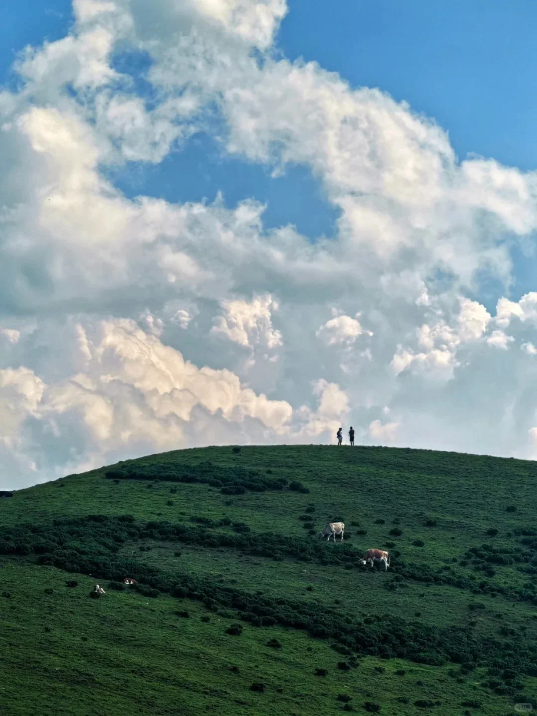 这里不是阿勒泰 是河北蔚县