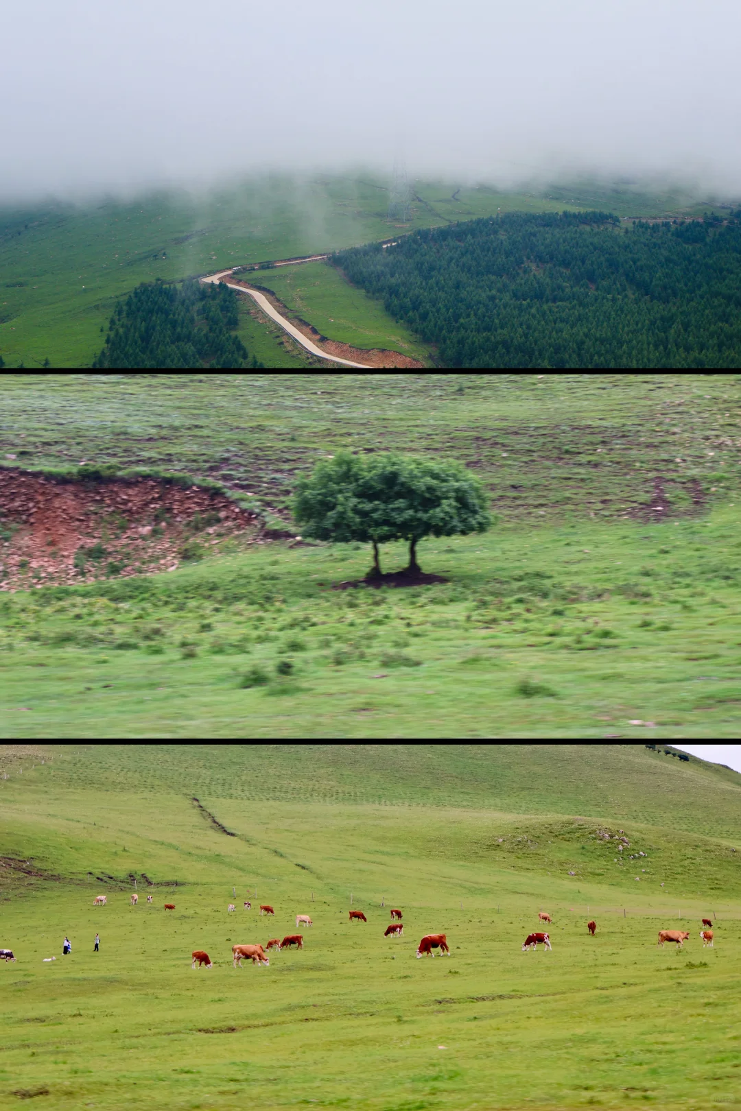 📷24｜逃离北京之河北承德百里天路（附攻略）