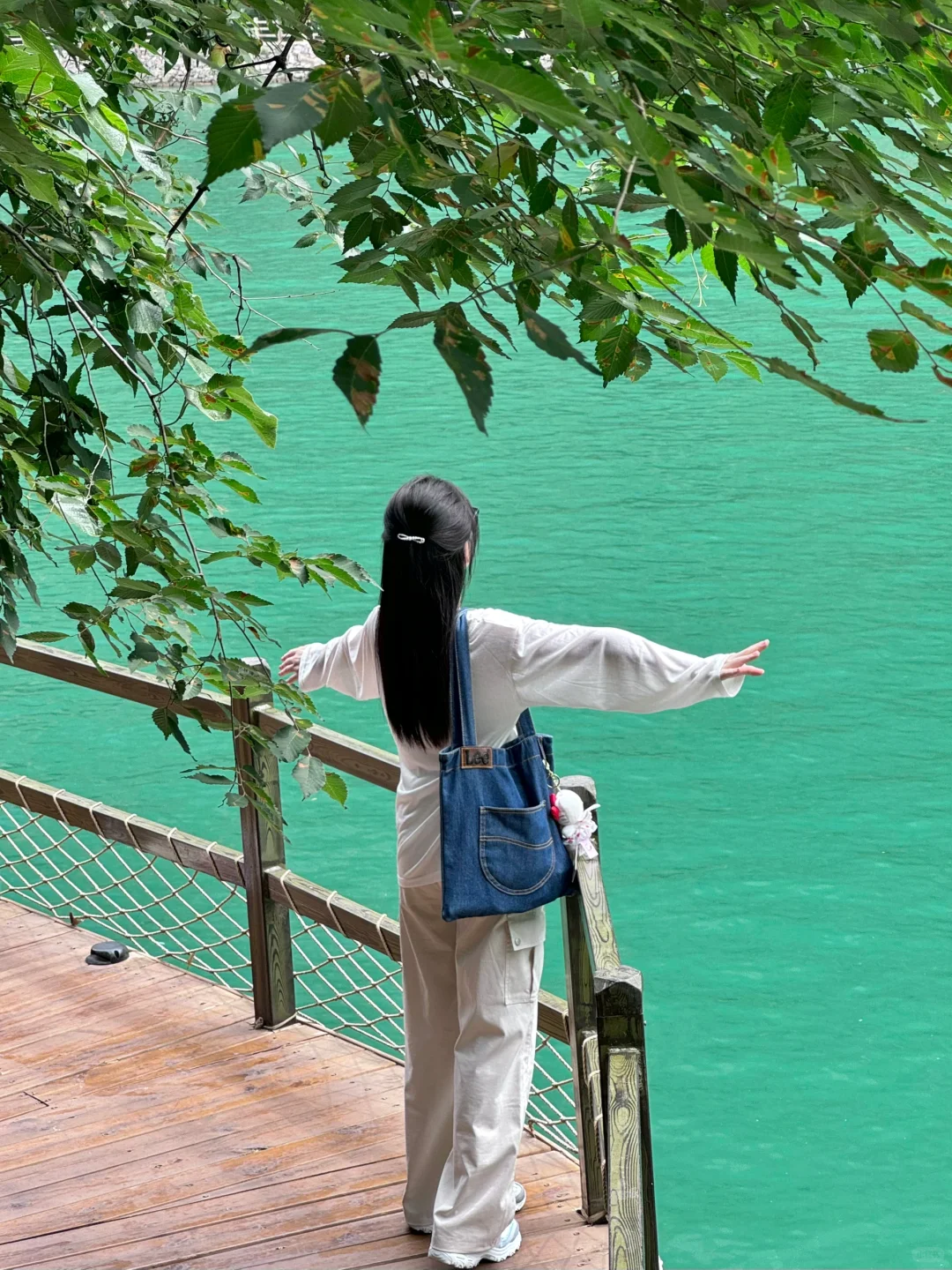 宝泉你真的过分了！一日游保姆级攻略！