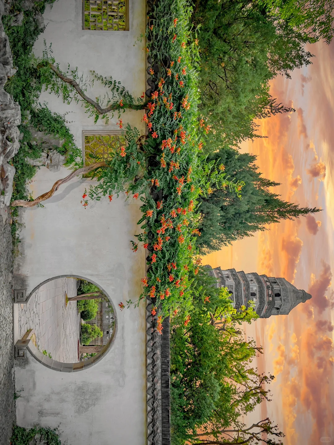 被苏州这极致的中式传统凌霄花美学❗️惊到了