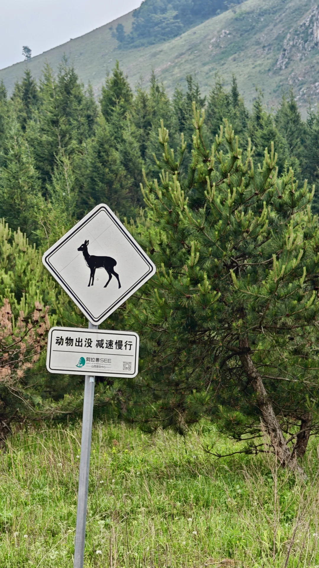 河北有自己的阿勒泰！走马槽草原一日游🌿
