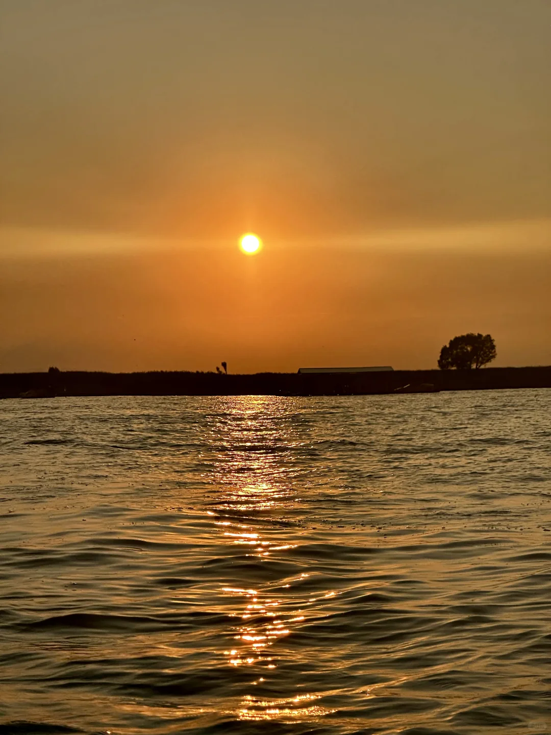 真的不敢相信！在白洋淀遇到了坠美日落🌅
