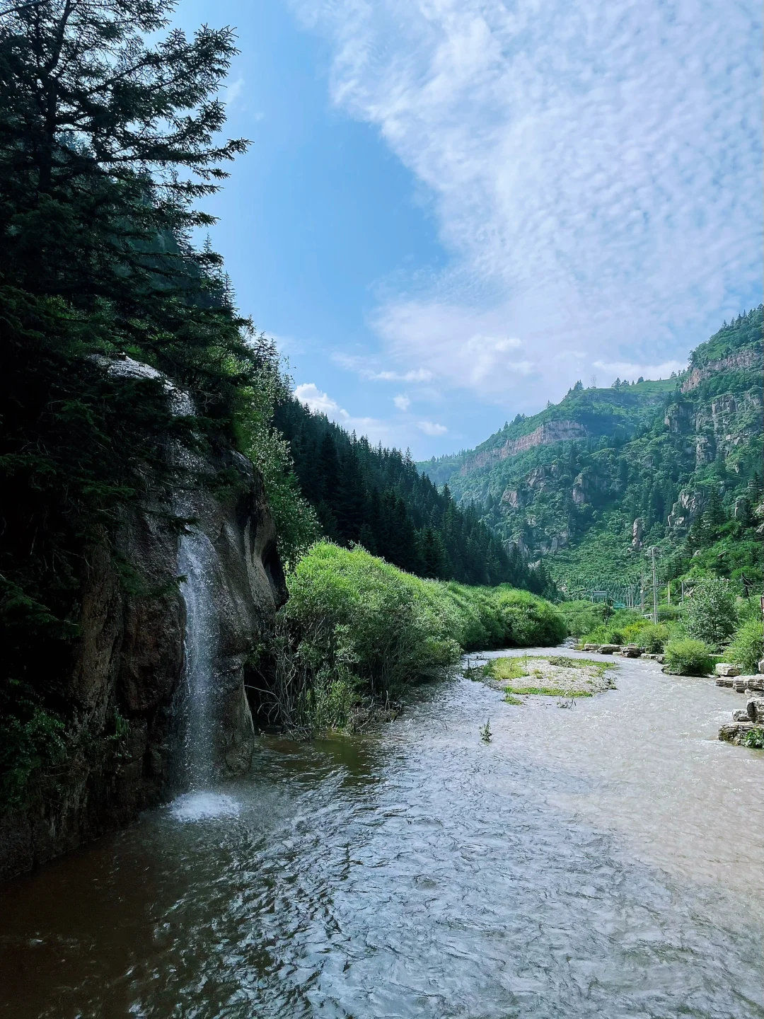 荷叶坪 森林的海