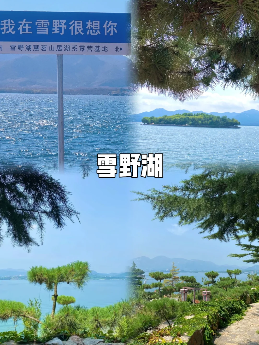 济南｜10个免费🆓打卡的宝藏地方❗️