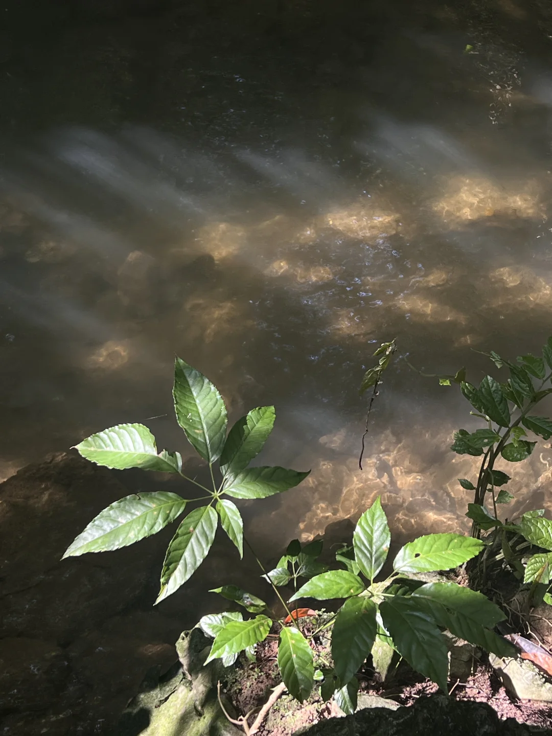 7.17 幸好穿拖鞋来小七孔