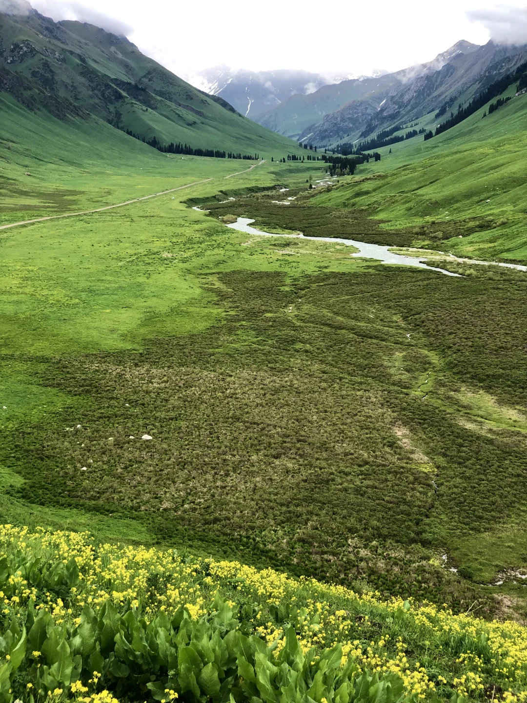 都是些什么人在避雷孟克特古道啊