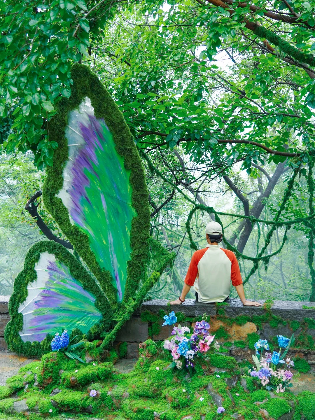 山东曾经的省会对面有森林仙境🍃暑假新去处