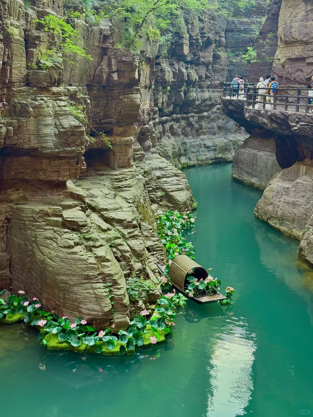 没人告诉我云台山这么美啊!20°的夏天好舒服