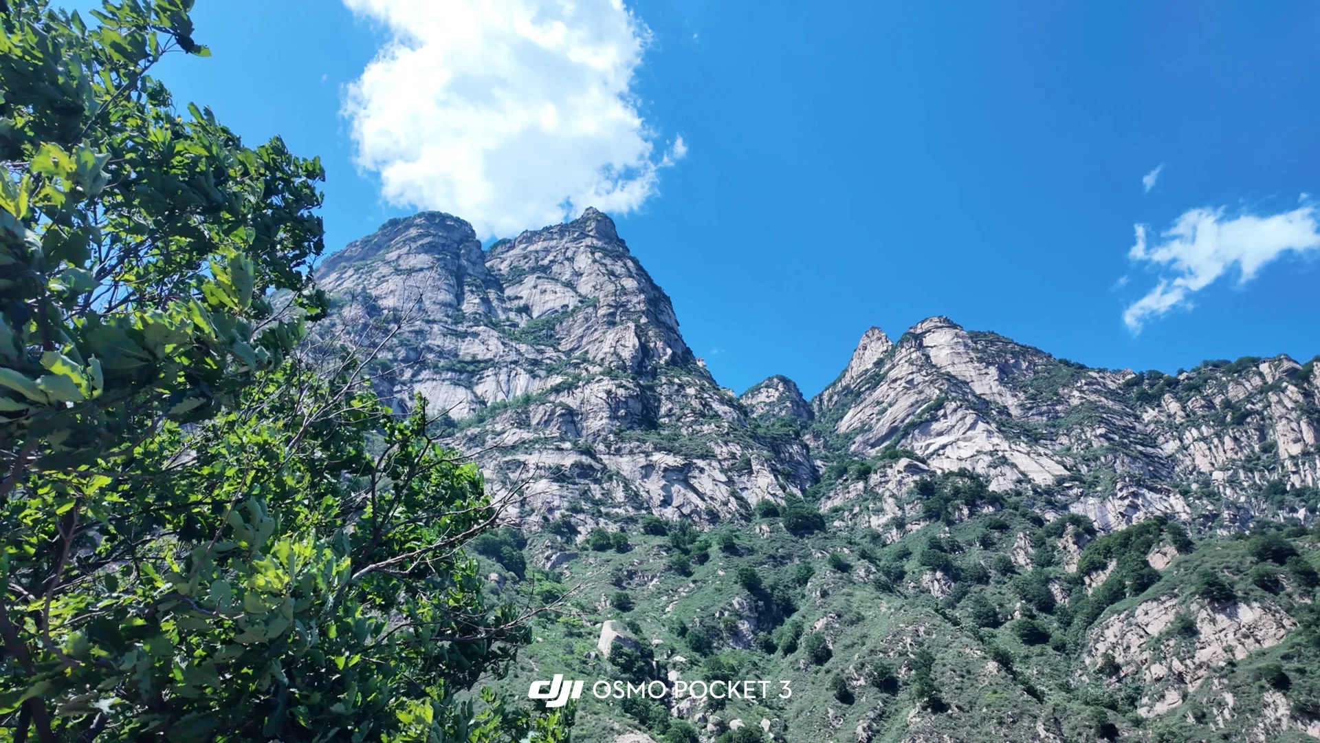 太行山里的童话世界 | 漫山花溪谷🌳