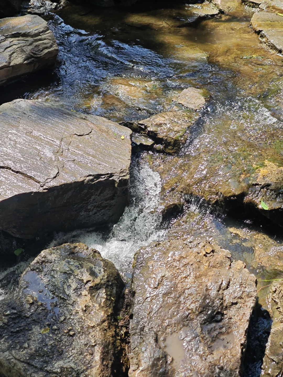 📍承德｜避暑山庄 来看看小燕子的漱芳斋