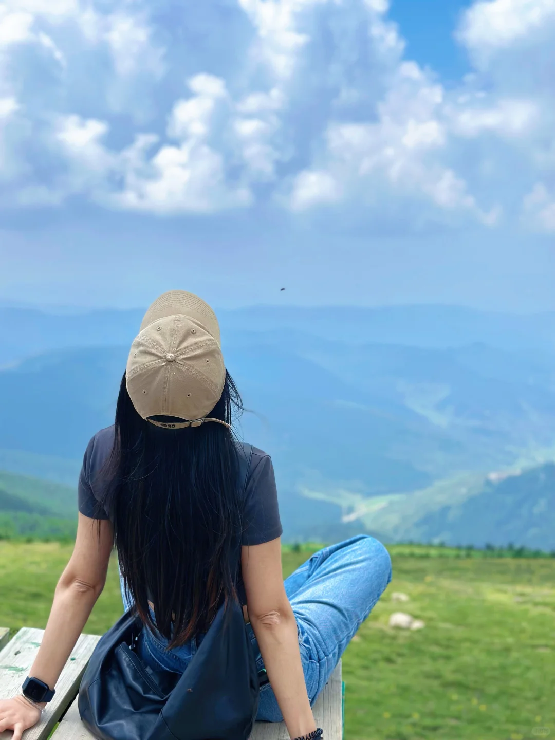 荷叶坪 森林的海