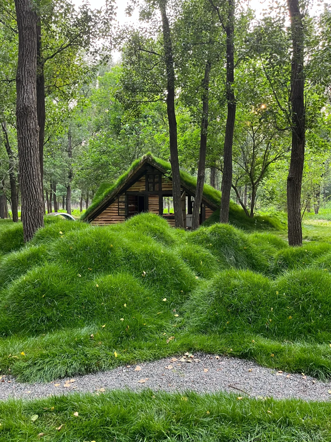 可是它真的在河北 真的在廊坊