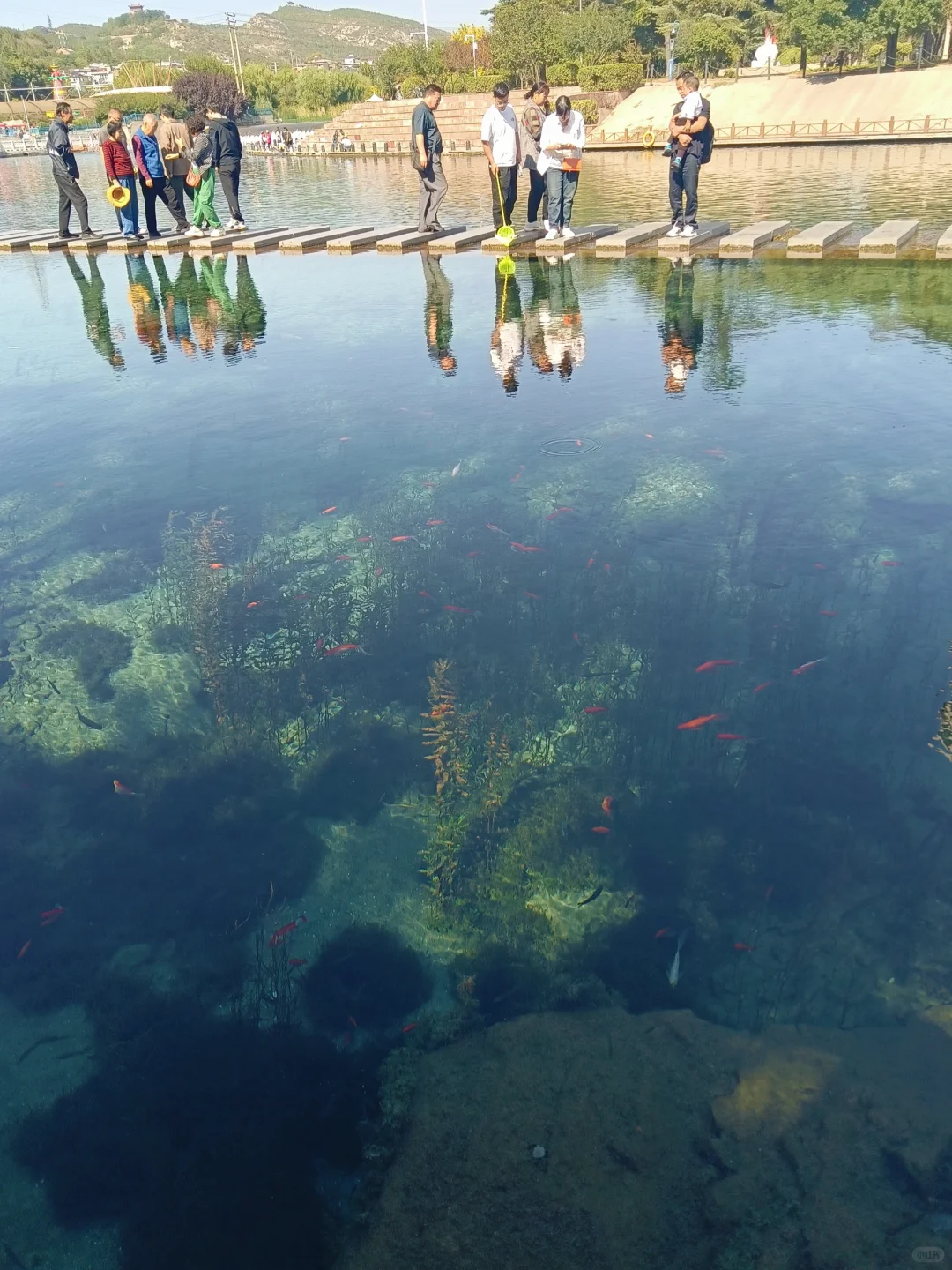 河北小九寨？邯郸黑龙洞我的家乡看过来～