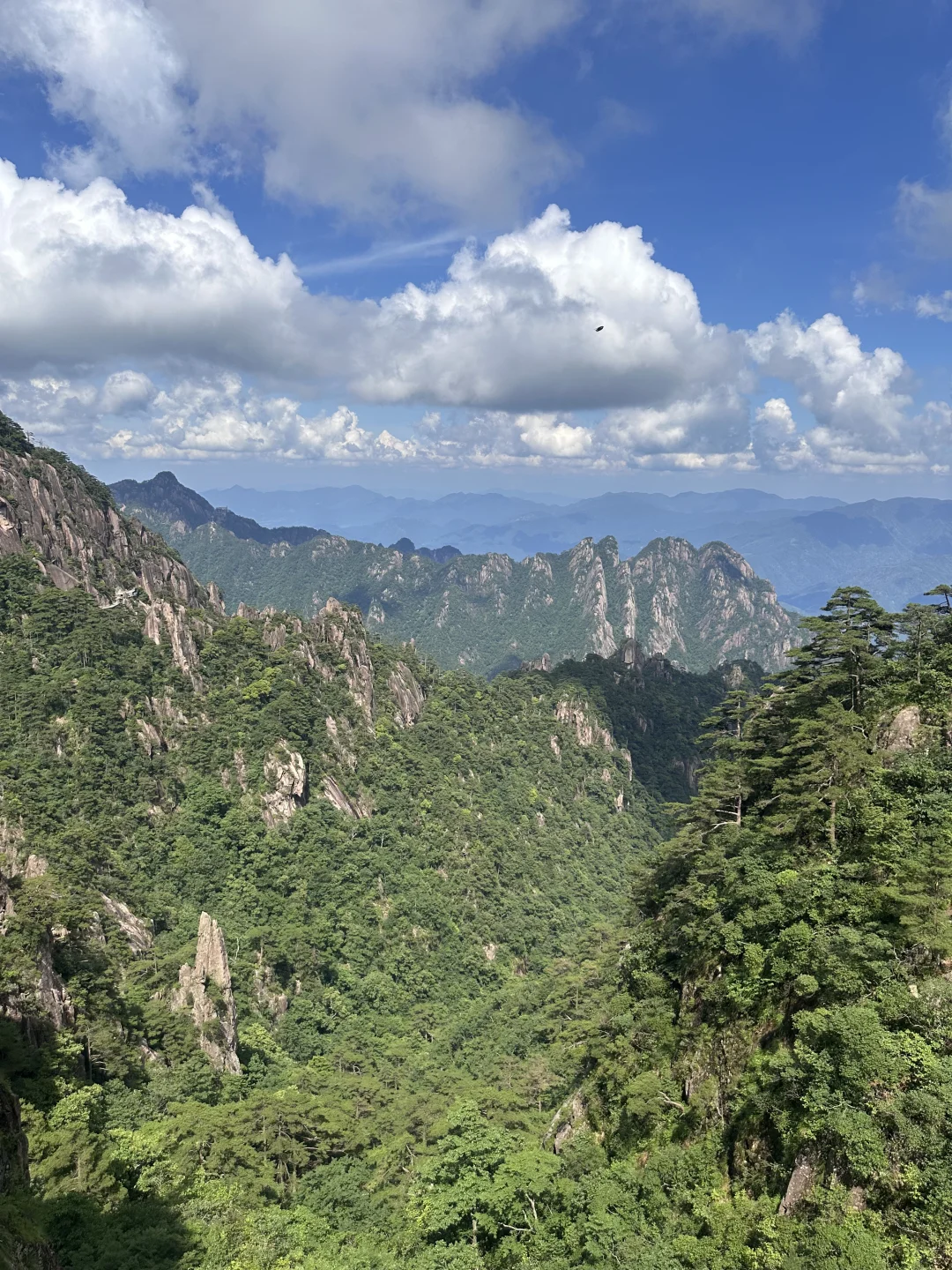 黄山实况7月2日☀️晴