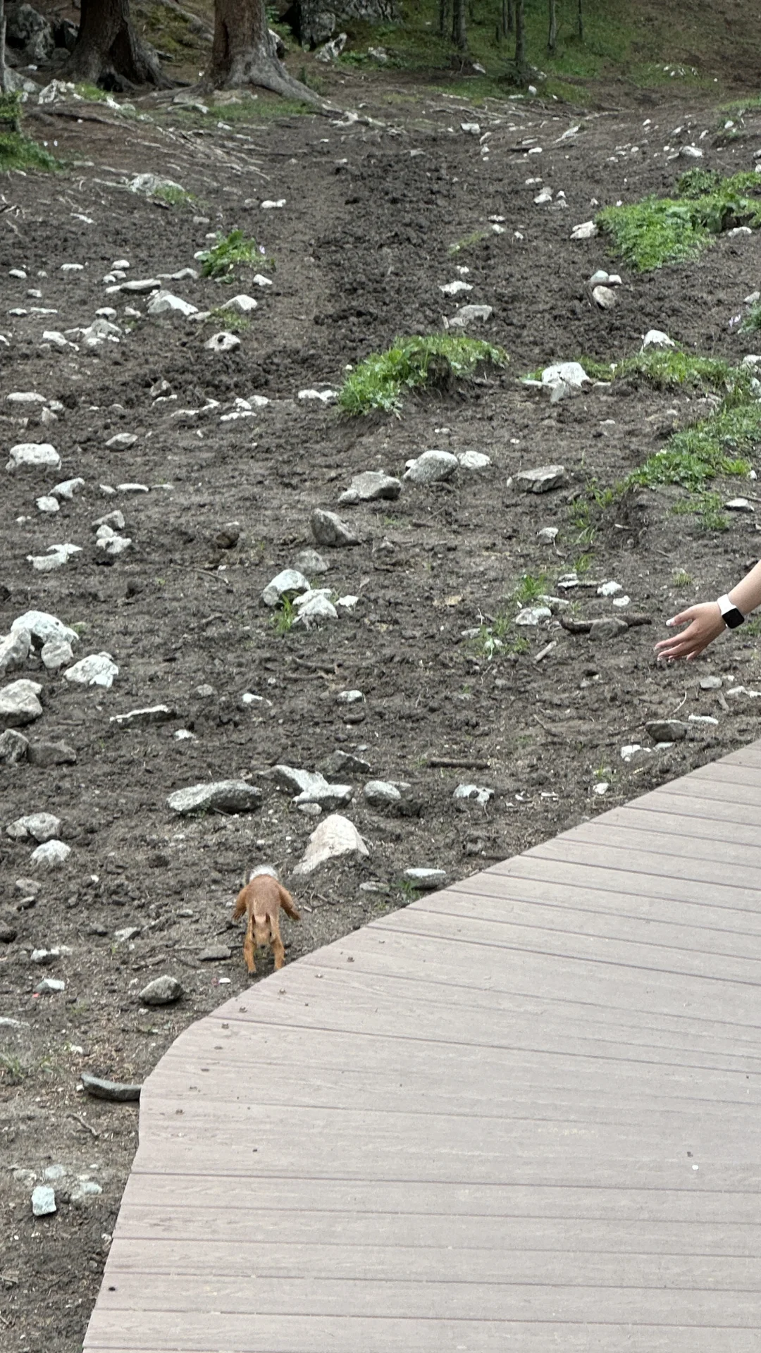 新疆9天8晚去哪里玩？ 景区篇 （中）