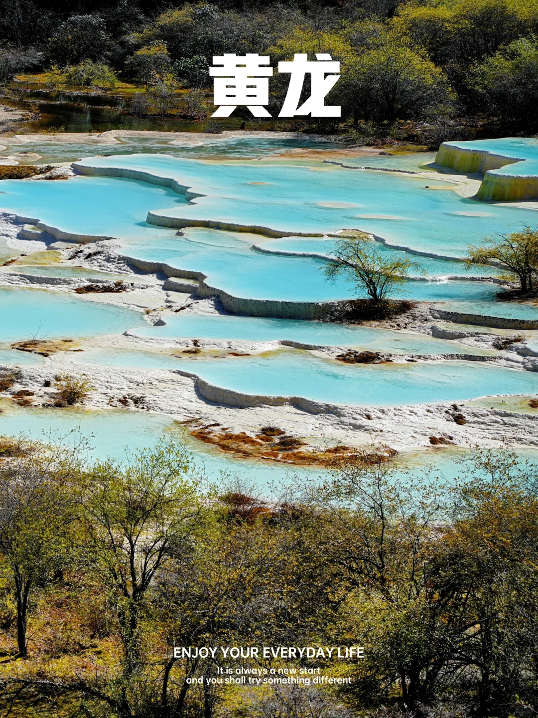 黄龙景区一日游攻略