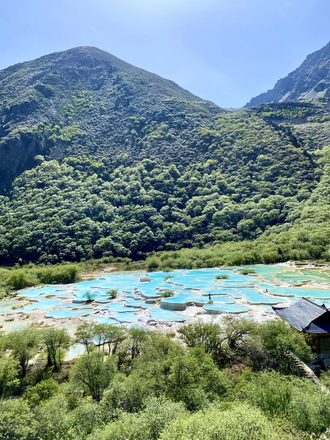 黄龙争艳池&五彩池💙💚