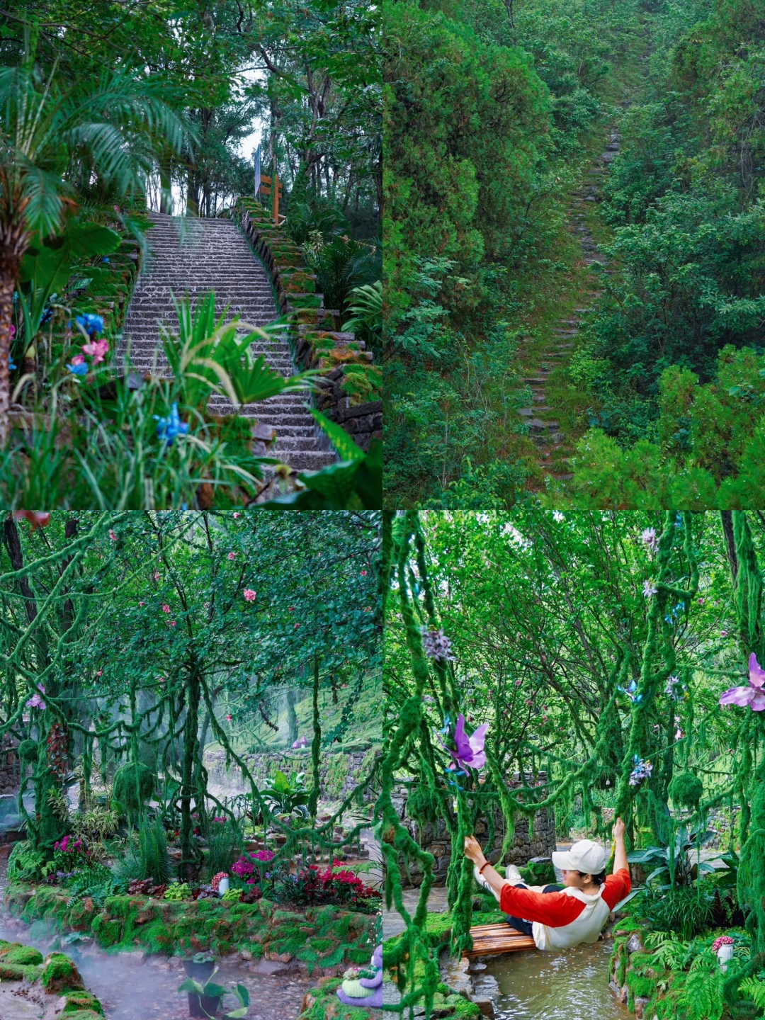 山东曾经的省会对面有森林仙境🍃暑假新去处