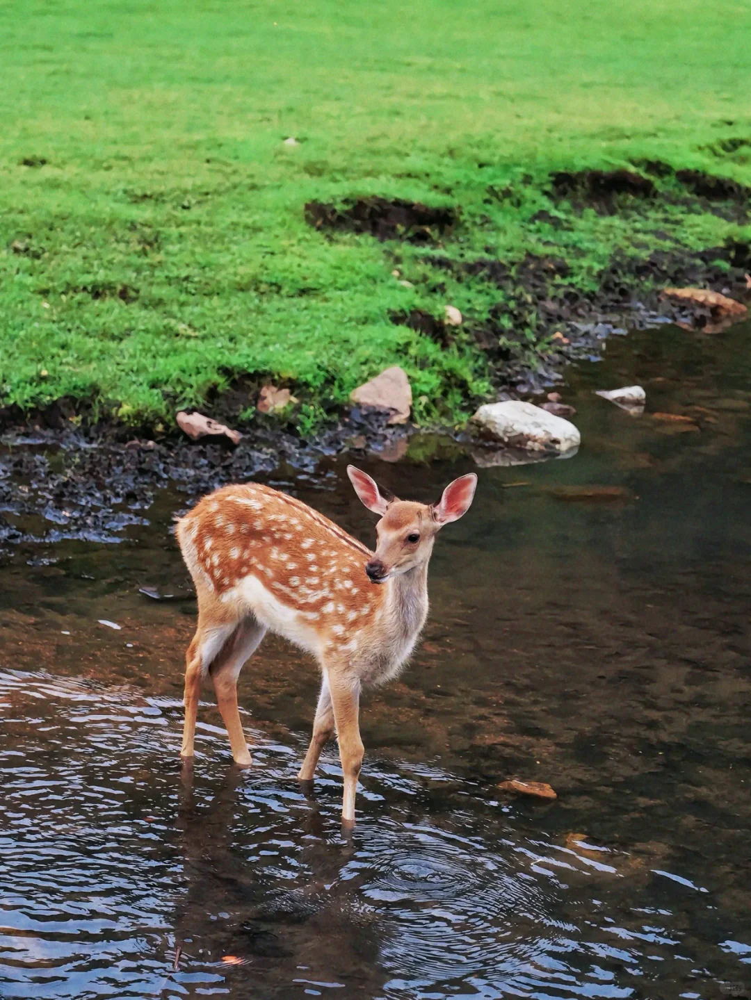 被治愈的生活底片，你抓住了嘛？