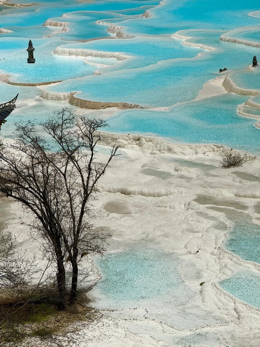 黄龙很美，但我已累成🐶。。（附live图）