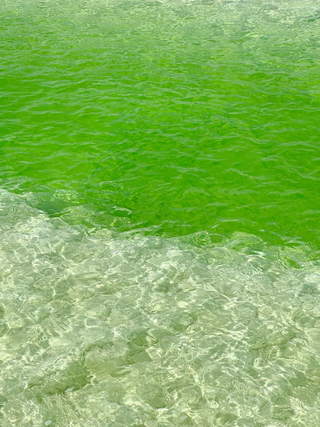 上班累了吧?请你喝上帝打翻的青苹果汁🍏