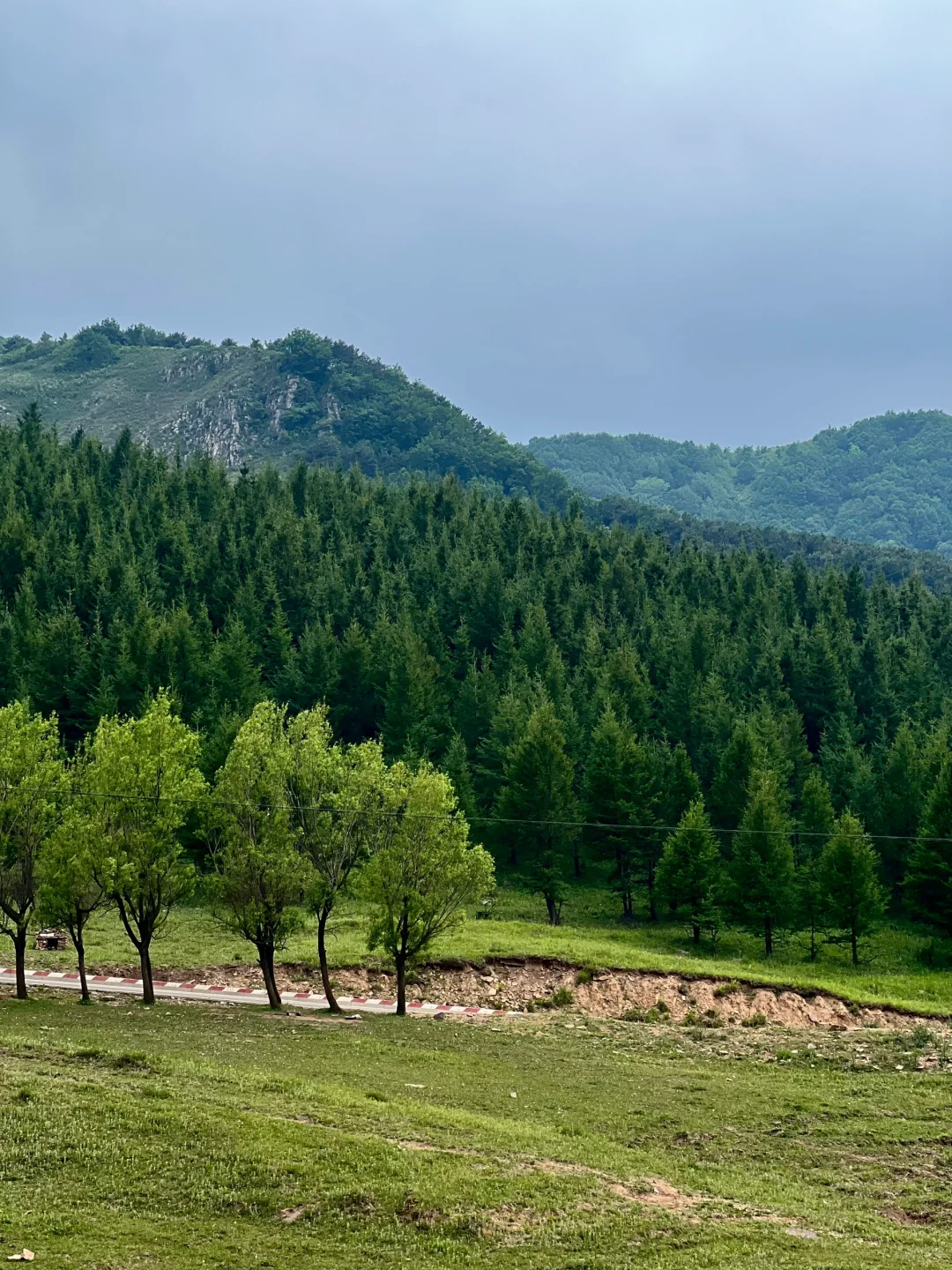 河北有自己的阿勒泰！走马槽草原一日游🌿