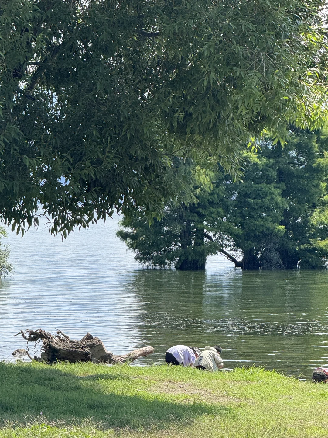 人在大理的Day2️⃣：这样的玩法 没踩任何坑🔥