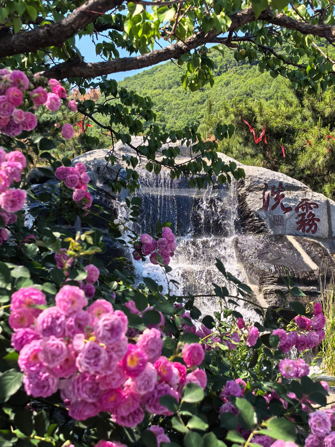 早知有盘山 何必下江南