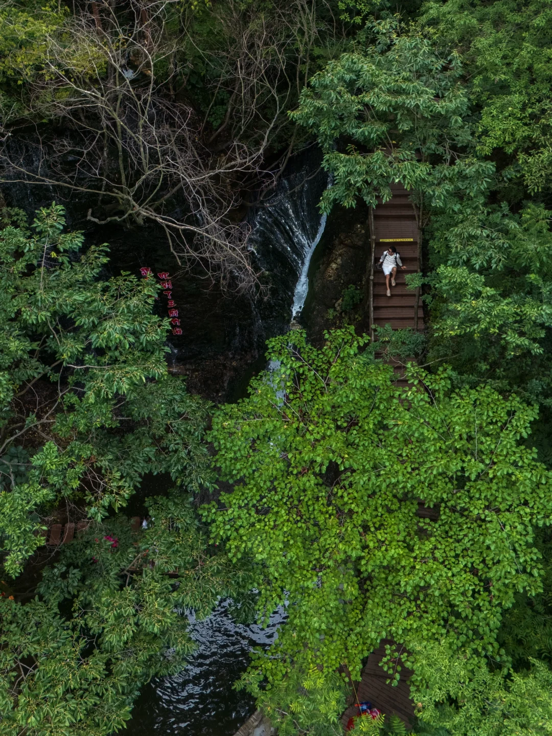 真的有被洛阳浪漫到❤️