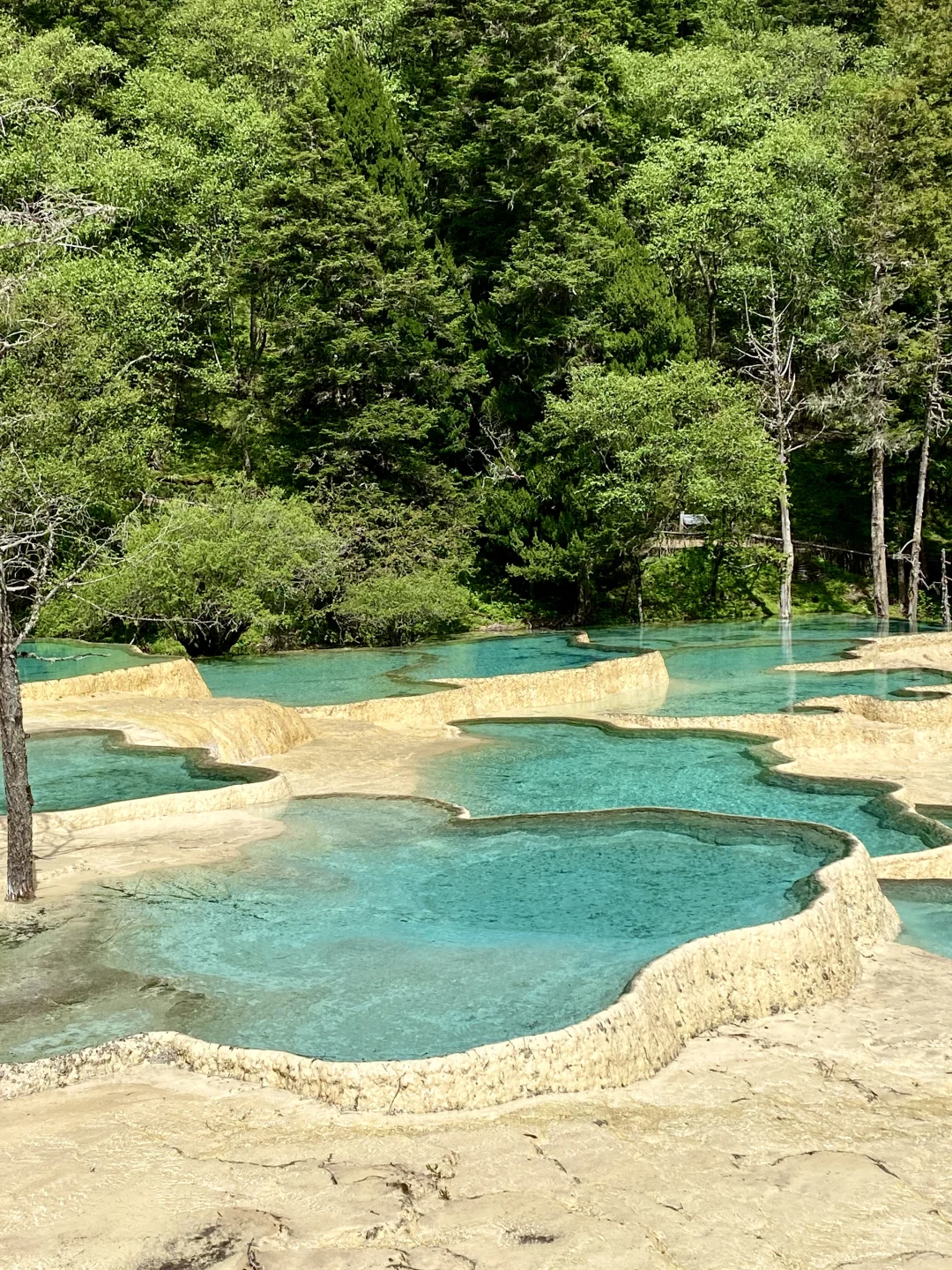 黄龙争艳池&五彩池💙💚