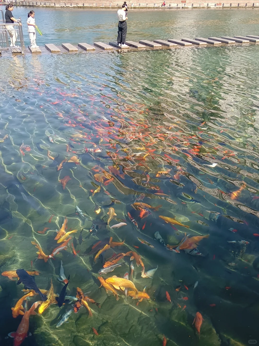 河北小九寨？邯郸黑龙洞我的家乡看过来～