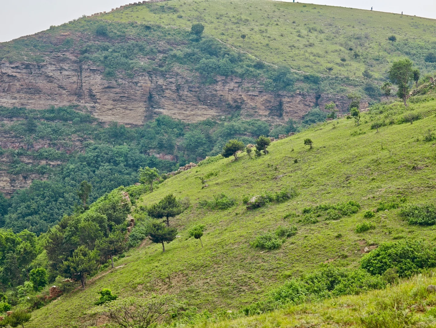 河北有自己的阿勒泰！走马槽草原一日游🌿