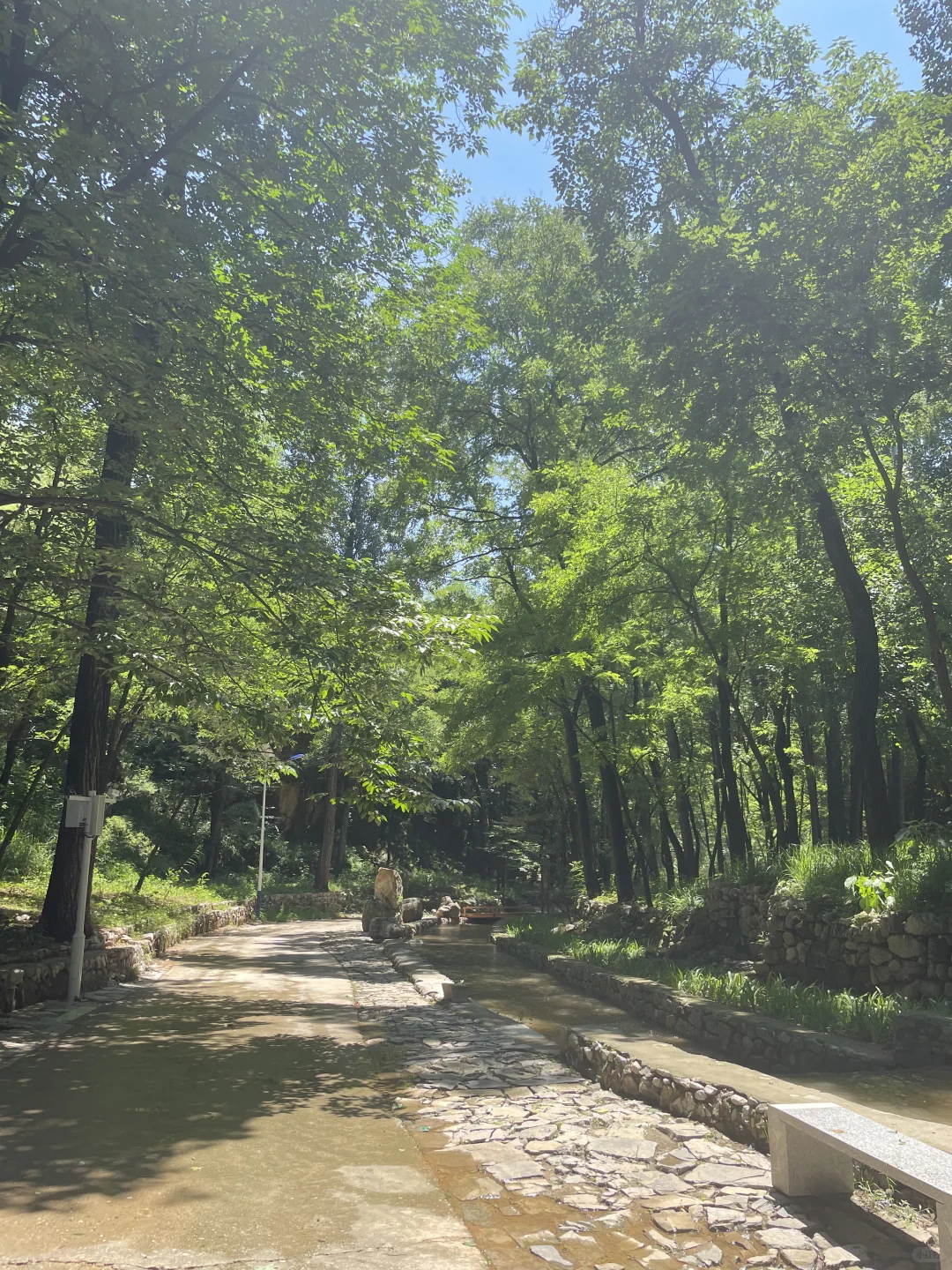 夏日避暑宝藏地|赶快躲进这天然氧吧🍃