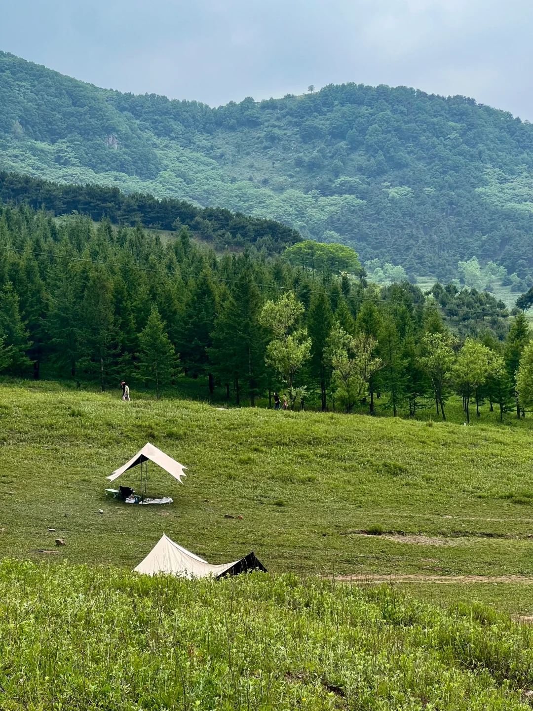 河北有自己的阿勒泰！走马槽草原一日游🌿